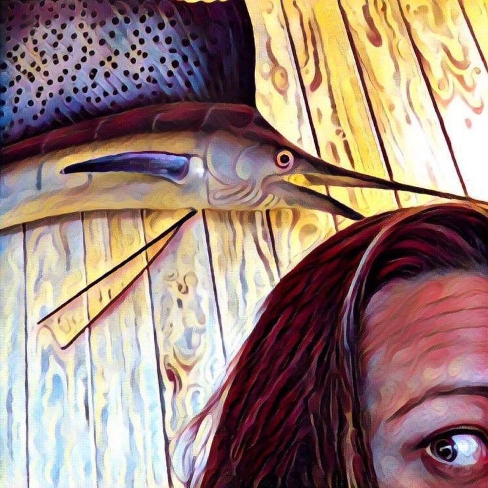 Meet your Posher, Molly